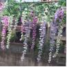 China Artificial Wisteria Flower wholesale