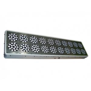 3 years warranty led light manufacturing plant apollo led cidly equal 1000w hps led grow l
