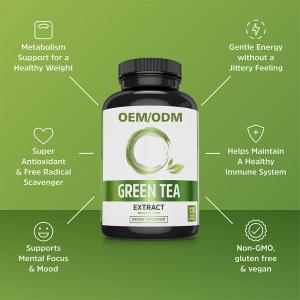 Private Label Green Tea Extract Healthcare Supplement Support Metabolism & Immune Green Tea Extract Capsules