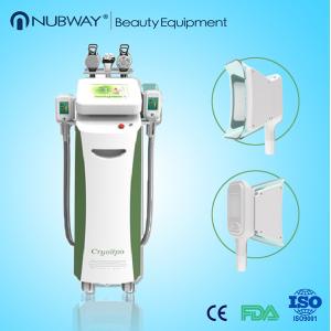 China 3 em 1 máquina C325 do emagrecimento de Cryolipolysis com as 2 cabeças que trabalham junto em um tratamento supplier