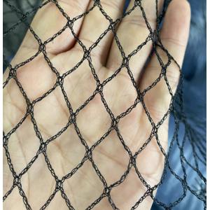 China plastic mesh anti bird aviary vineyards netting for garden protection Anti Bird Netting For Greenhouse