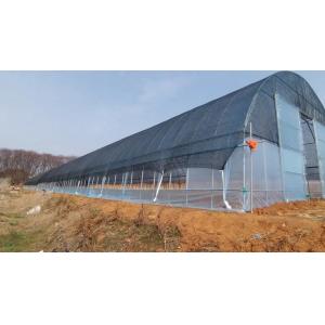 Rainfall 150mm/H Tunnel Greenhouse With Mechanical Ventilation Optional Cooling System