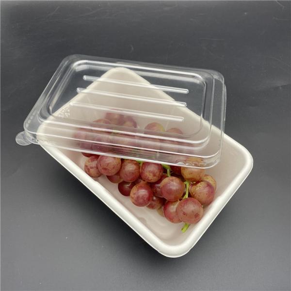 Sanitary Rectangular Biodegradable Takeaway Containers