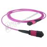 Type B LSZH 40GB OM4 MPO Patch Cable Fiber Optic Cable Patch Cord
