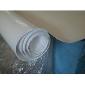 China 70shore A Colored Plastic Sheet Expand PTFE Sheet For Pharmaceutical , Chemical supplier