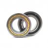 China NSK NJ2208 M Cylindrical Roller Bearing NJ 2208 40*80*23mm wholesale