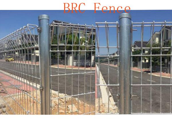 Customized Roll Top Weld Mesh Fencing 50*150mm Mesh Size Jacaranda Style