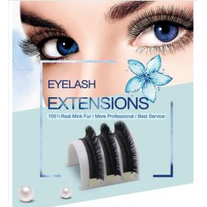 China Top quality premade fanned 3D Eyelash Extensions 0.07 Camellia Lashes supplier