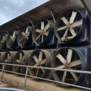 PSMS Motor Livestock Ventilation Fans Dairy EC PMSM Wind Exhaust Fan