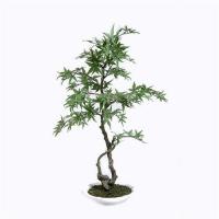 China Bright Spot Artificial Maple Bonsai Tree , Artificial Plants Bonsai Fill Any Space on sale