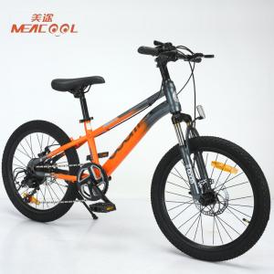 Childrens Lightweight Mountain Bikes 20in