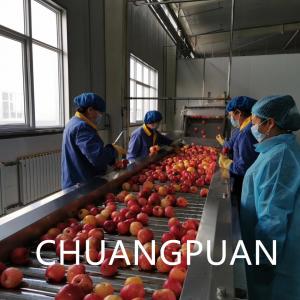 China Tomato Sauce Processing Equipment with Automatic Aseptic Filling Cap System Tomato Paste supplier