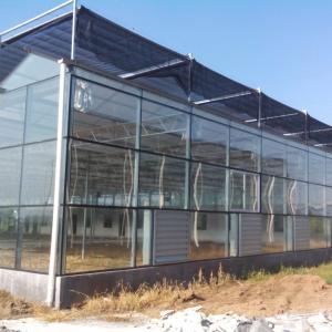 China High Yield Vegetable Glass Seedling Greenhouse For Tomato / Cucumber supplier