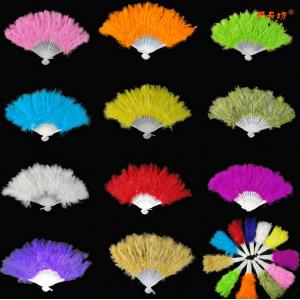 Party novelty supplies feather fan