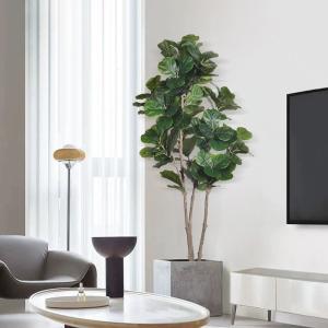China Artificial Ficus Microcarpa  6 Ft Indoor Pot Faux Fiddle Leaf Fig Tree For Indoor Living Room Decoa wholesale