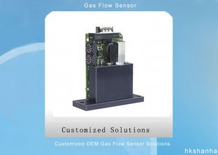 Customized OEM Gas Flow Temperature Sensor Solutions