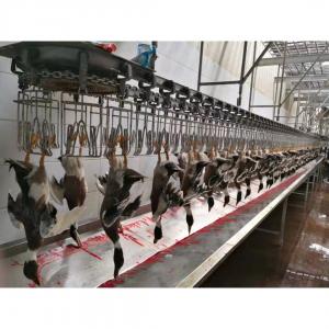 High Capacity Poultry Slaughtering Line Halal Chicken Slaughterhouse Machine 1000BPH