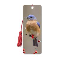 China Bird Design 3D Animal Bookmarks With Two Side CMYK Printing / Personalised Bookmarks For Schools on sale
