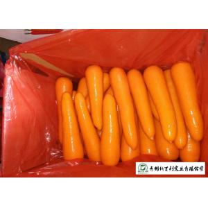 All Natural Fresh Organic Carrots , Fast Growing Carrots No Ripener