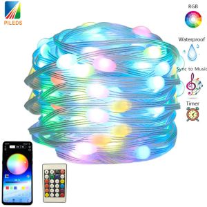 China Smart App Control LED Christmas String Light RGB Bluetooth USB For Wedding Holiday on sale