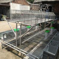 China 2 Layer Commercial Rabbit Farming Cages Automatic Drinking And Cleaning on sale