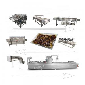 Stainless Steel 304 Dates Processing Line for Washing and Drying of Dates Production