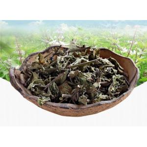 Spicatus Thunb.C.Y. Wu.Leaves de Clerodendranthus y té del tronco; Xu cao de Mao; reat para la enfermedad de riñón; baje el ácido úrico, tcm, hierba