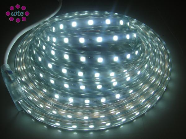 AC 110 / 220V  IP67 Waterproof  Flexible LED Strip Lights For Letter Lighting