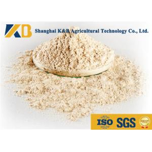China No Agglomeration Or Mildew Brown Rice Powder For Pet Feeding Addictive supplier