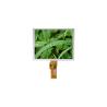 China TM062RYH01 LCD Screen Display 6.2 inch LCD Modules wholesale