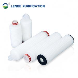 China PES Pleated Membrane Filter Cartridge 10 Inch PES Filter 0.22 μM / 0.45 μM Cap 226 / 222 supplier