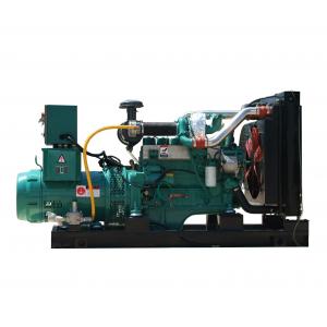 China 10 - 600KW Biogas Generator Biogas Electric Generator for Sale supplier