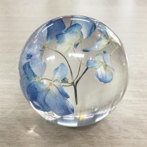 樹脂の芸術の水晶文鎮のための乾燥した花の中の実質の花が付いている家の装飾の技術のアクリルの文鎮