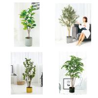China Home Decoration Aesthetic Easy To Care Artificial Ficus Tree 1.6m on sale