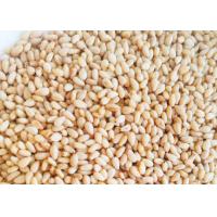 China High Iron Calcium Organic Agricultural Products White Sesame Seeds 5% Moisture on sale