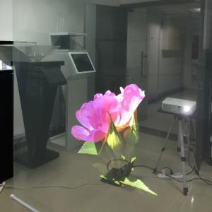China Shop Window Holographic Projection Film High Contrast 100um For Advertising supplier