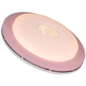 China o teto da matança do mosquito 15000h montou o círculo conduzido das luzes 176v para a sala de visitas supplier