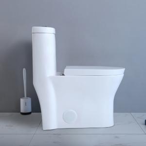 China Siphonic Round American Standard One Piece Dual Flush Toilet Elongated Bowl supplier