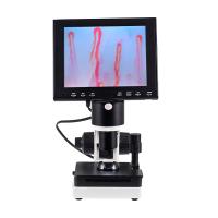 China Portable Led Display Nail Fold Capillaroscopy Microscope 400x Magnification on sale