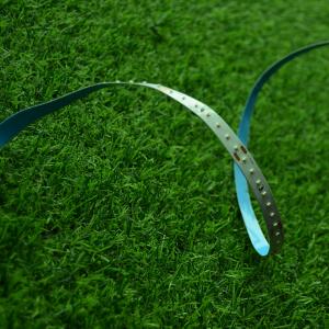 China Colorful 2110 Waterproof Strip lights outdoor lighting LED Strip Light for Christmas Flexible LED Strip supplier