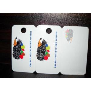 PVC abnormal shape cards/Plastic Cards