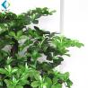 Solid Wood Trunk Artificial Magnolia Tree In Pot For Indoor Decoration