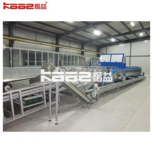 China Automatic Industrial Mango Fruit Sorting Machine Grading Machine Shape Grading wholesale