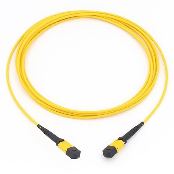 10G 40G MTP To MTP Cable OM4 Fiber Patch Cord Singlemode / Multimode Simplex