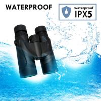 China Adults 10x42 Roof Prism Binoculars HD Professional For Bird Watching on sale