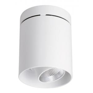 4000K DALI 0-10V dimmable control surface mounted spotlights adjustable angle led lights downlights for hotel lobbies