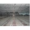 Customizable Multi Span Greenhouse With Side Vent And Roof Height 3.73M