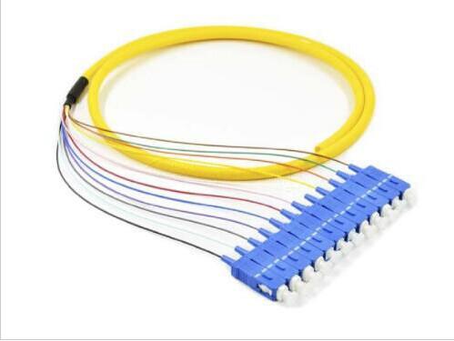 Yello Color Optic Fiber Patch Cable Patch Cords SC 12 Cores Bundle Pigtail