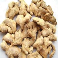 China Natural Dried Dehydrated Ginger Root With HALAL HACCP on sale