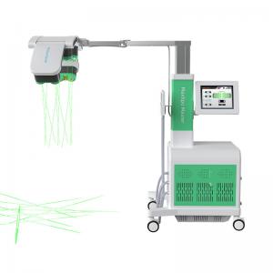 Weight Loss  Green Co2 Laser Beauty Machine  532nm 10D Maxlipo Painless